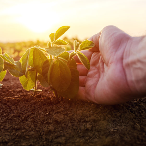 The Parliament of Ukraine has registered a bill to transform the right of permanent use of land into modern titles