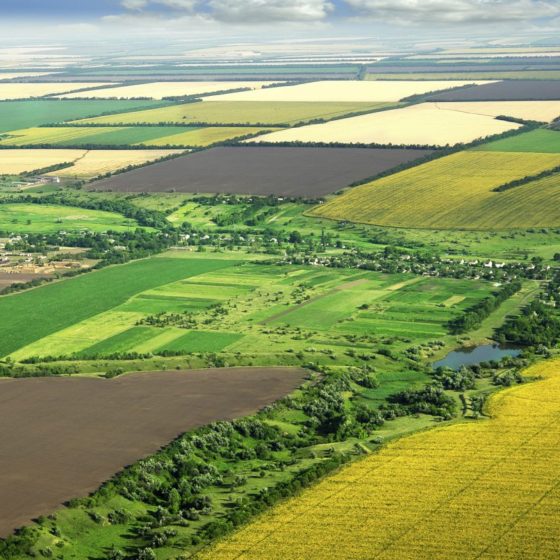 Land reform and opportunities for foreign investors in the Ukrainian agribusiness market