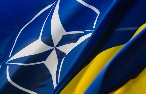 Ukraine is the First NATO Partner-Country to Receive a Partnership Goals Package until 2025