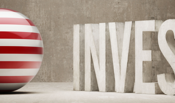 The volume of foreign investment in the portfolio of Ukraine’s domestic State debt (UDSD) is over $36 mln