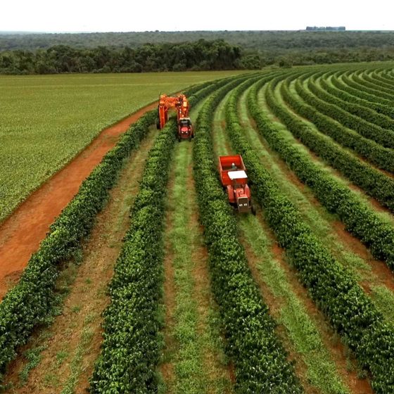 €50 million will be invested to support farmers in Ukraine