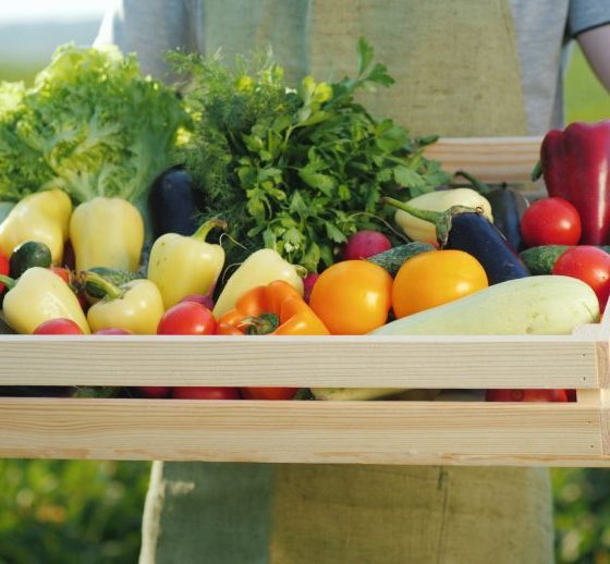 The new policy in organic production will provide new export opportunities for Ukraine