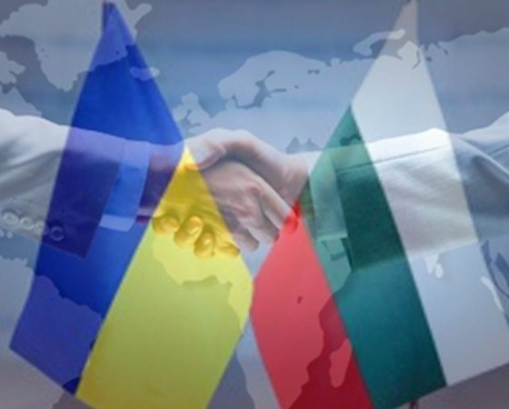 Ukrainian and Bulgarian Sides Have a Diplomatic Meeting in Sofia