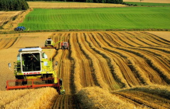 Ukrainian Agroholding “Ristone Holdings” Invests $800 Thousand in New Equipment