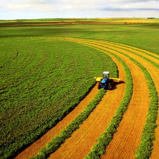 Average Cost of a Hectare of Land in Ukraine after July 1