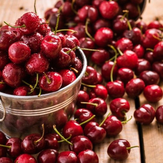 New Logistic Fruit and Berry Center is to Built in Sumy Region