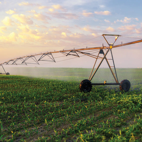 Ukraine Provides State Support for the Purchase of Ukrainian Irrigation Equipment