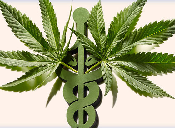 Ukraine Legalises the Production of Cannabis-Based Medicines
