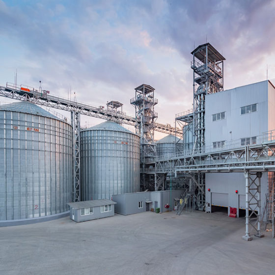 Demetra Invests $8 Million in the Construction of the Oil Extraction Plant
