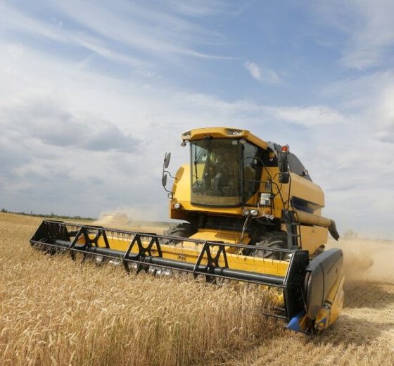 Grain Harvest in Ukraine Reaches a Record Level
