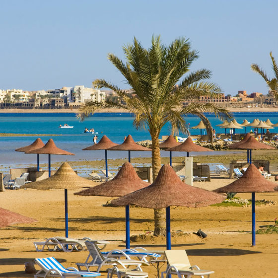 Ukraine and Egypt Interested in Deepening Cooperation in The Field of Tourism
