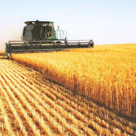 Land Market Opening in Ukraine