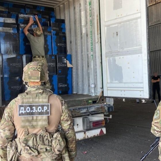 Criminal Punishment for Smuggling of Goods
