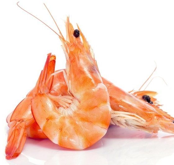 $7,5 Million Investment in a Shrimp Farm in Southern Ukraine