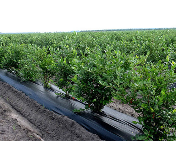 The First in the Region “AGROHUB” Is to Work in Ivano-Frankivsk Region