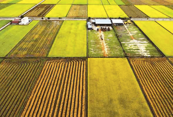 The Most Popular Regions to Buy Land in Ukraine