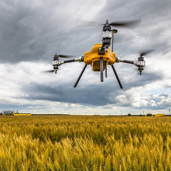 How to Develop Traditional Sectors of the Ukrainian Economy Through Innovation