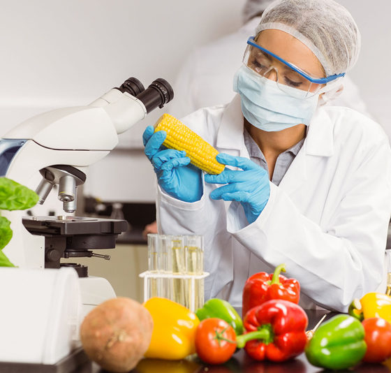 Agricultural Education in Ukraine
