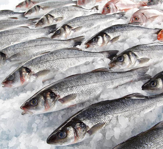 Revenue from Ukrainian Fish Exports Increases by 28%