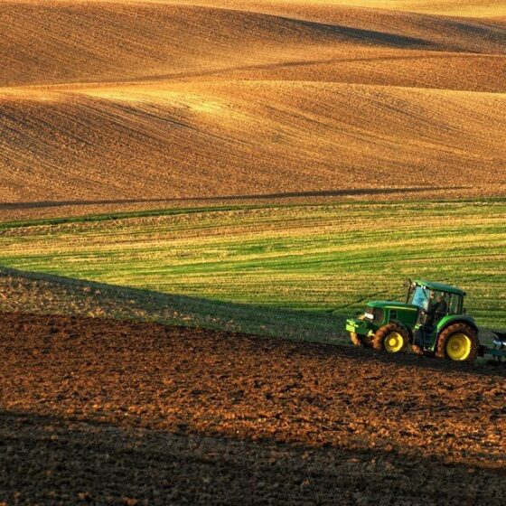Ukrainians Sold 23,000 Hectares of Agricultural Land