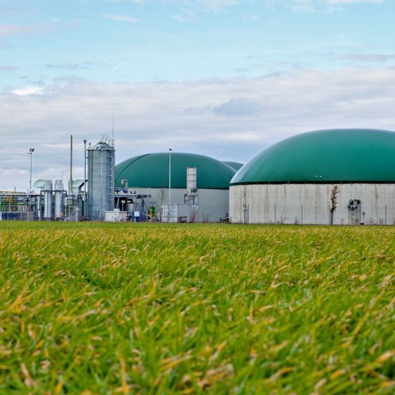 All Details About the Large-Scale Biogas Project in Chernihiv Region