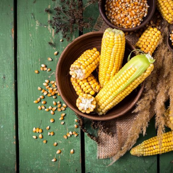 The agricultural sector has become a leader in terms of profitability