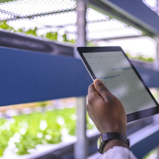 Investments in Farm Tech Grew by 40%, Leaders – Biotechnology and Agriculture