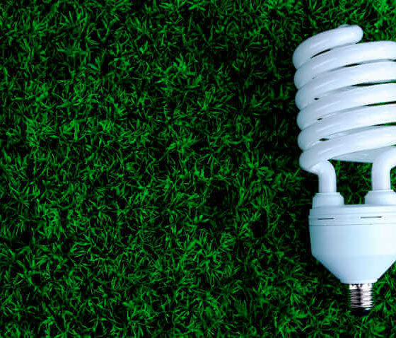 Green Cooperation Between Ukraine and Georgia