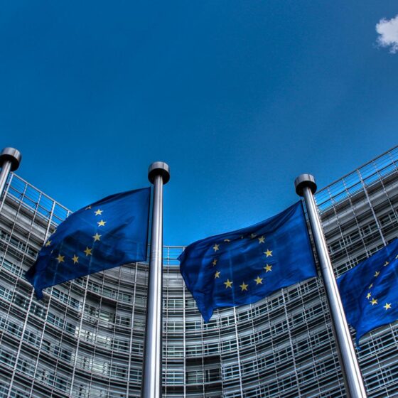 “Transcarpathian Honey” and Other Geographical Names for the EU