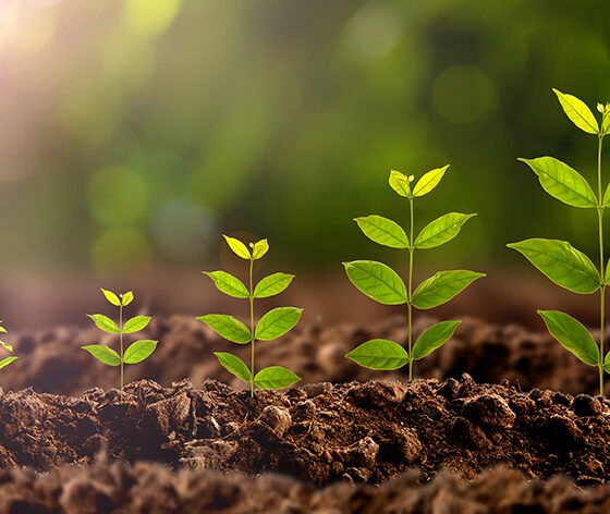 Ukraine and the United States in the Discussion on the Fertility of Ukrainian Lands and Agricultural Innovations