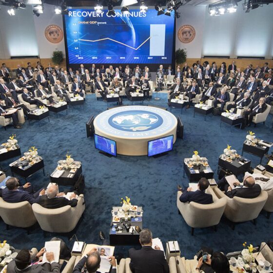 The IMF Invests in the Renewal of the Ukrainian State System
