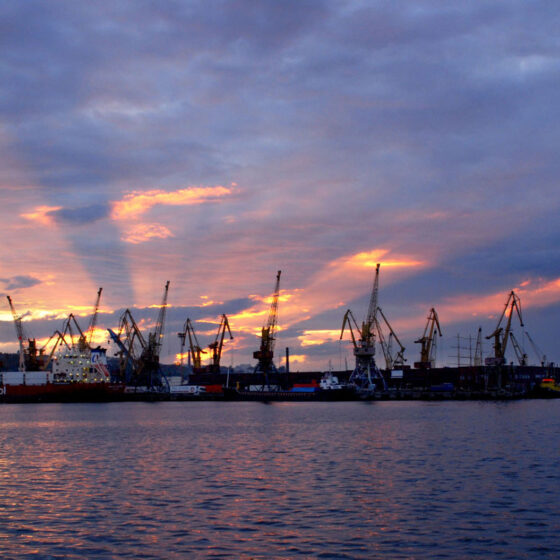 The port of Mariupol is looking for investors for grain and container terminals