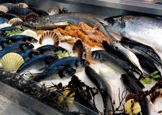 Fish Production in Ukraine Increases