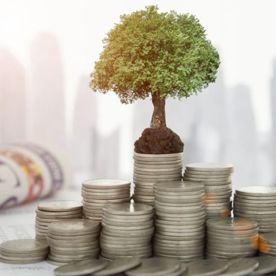 Queuing up for a Nanny: More than 25 Investors Want to Take Advantage of Investment Nannies