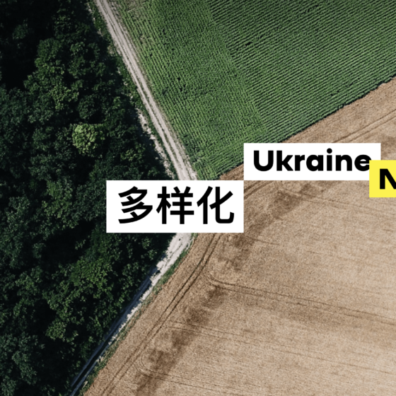 The Chinese Language Has Appeared on the Official Website of Ukraine