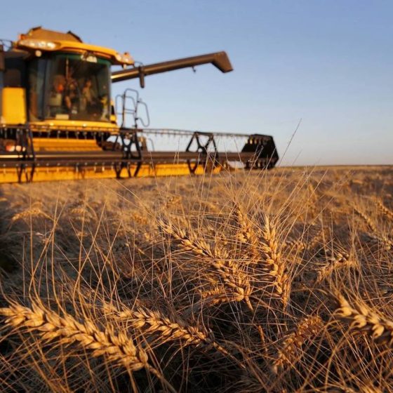 Ukraine, Moldova and Grain Export