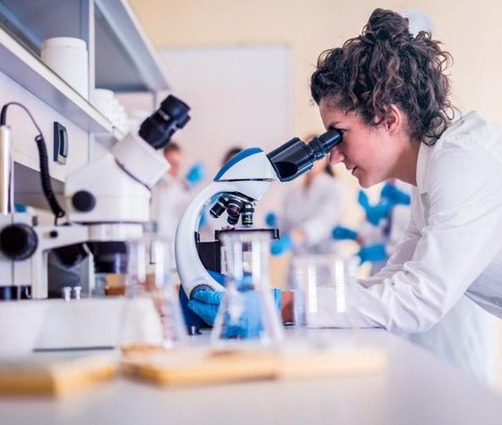 The Government of Ukraine Plans to Invest in Modern Scientific Infrastructure