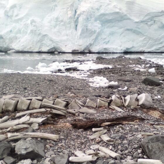 A Discovery of Ukrainian Scientists in Antarctica
