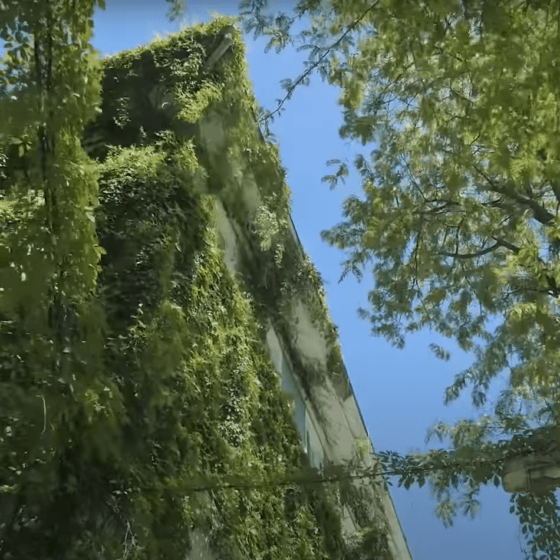 Who Buy a Winery in Odessa for $9 million