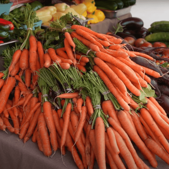 UAH $4 million to Support Ukrainian Farmers in 2022