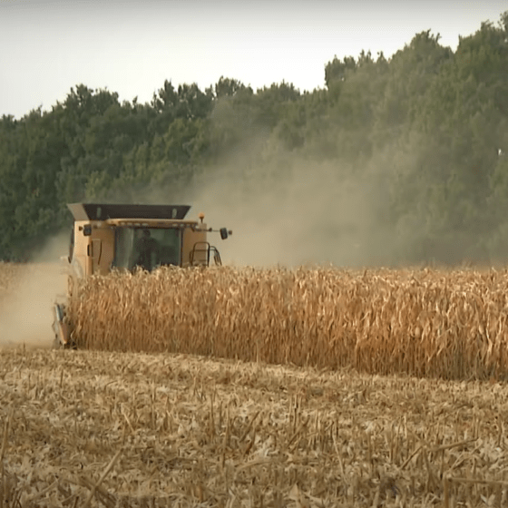 $38 Mln to Support Ukrainian Farmers in 2022