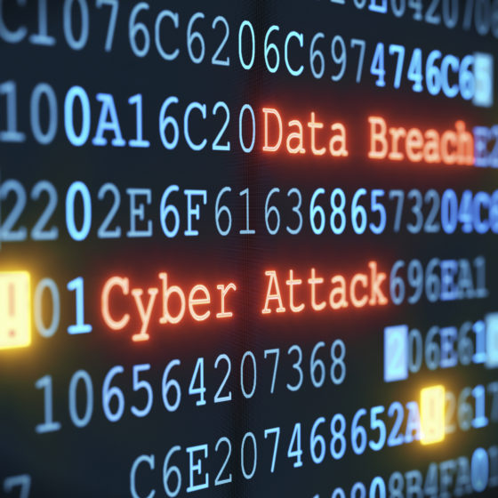 Strengthening the Capacity of Ukrainian Government Agencies in the Field of Cyber Hygiene
