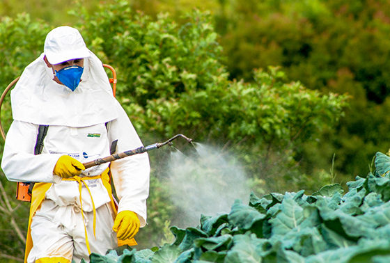 Ukraine Simplifies Entry of Plant Protection Products for Scientific Studies