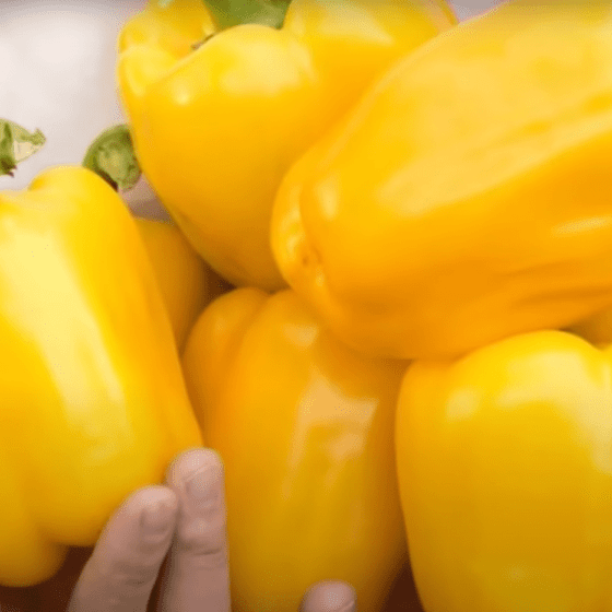 Ukraine is in the TOP-20 World Producers of Pepper