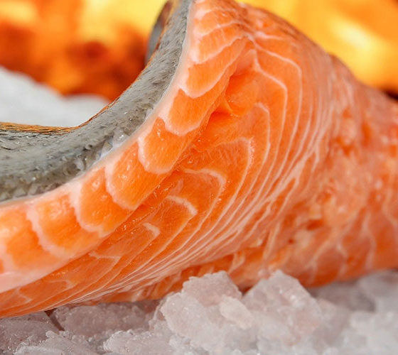 Ukraine Exports Organic Salmon