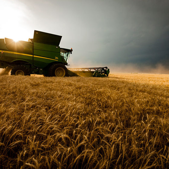 Bank Guarantees for Forward Contracts in a Grain Marke