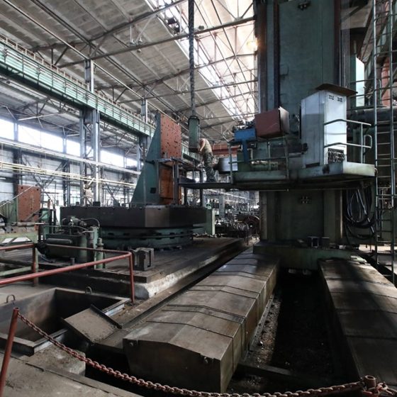 Privatization of the State Industrial Giant