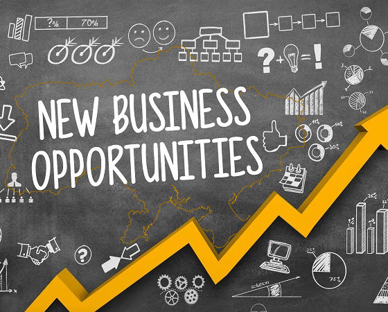 Business Opportunities in Ukraine