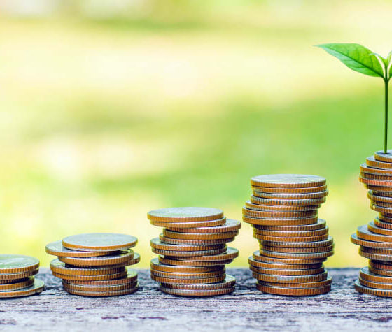 Ukraine Represents Investment Opportunities for the Republic of Estonia