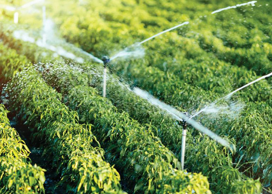 Ukrainian Farmers Who Use Developed Lands to Get 25% Cost Recovery
